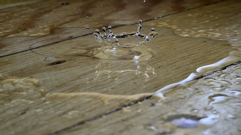 Water pooling on a wood floor inside a home